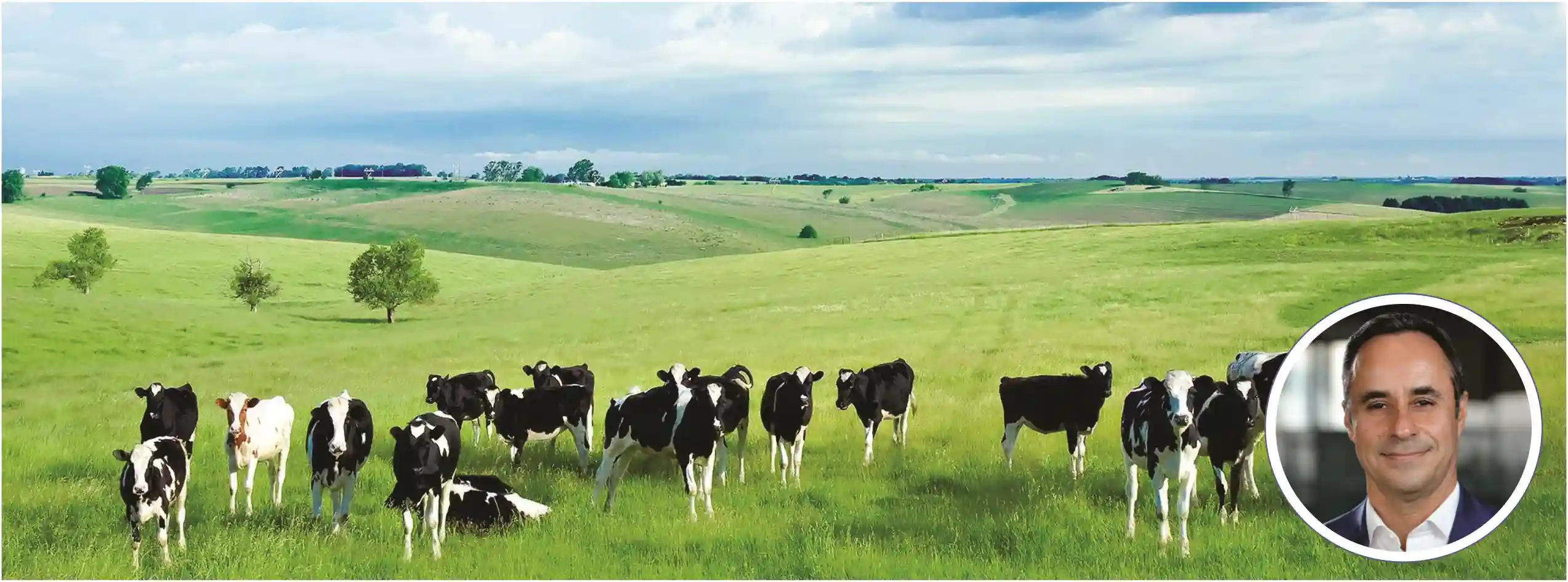 Retos y acciones del sector lácteo de Bogotá- Región